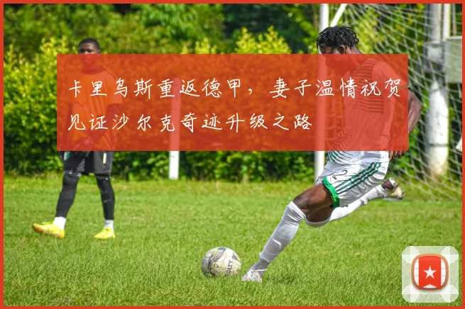 卡里乌斯重返德甲，妻子温情祝贺见证沙尔克奇迹升级之路
